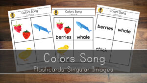 Colors Song – Flashcards Singular Images