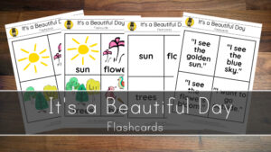 It’s a Beautiful Day – Flashcards