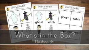 What’s in the Box? – Flashcards